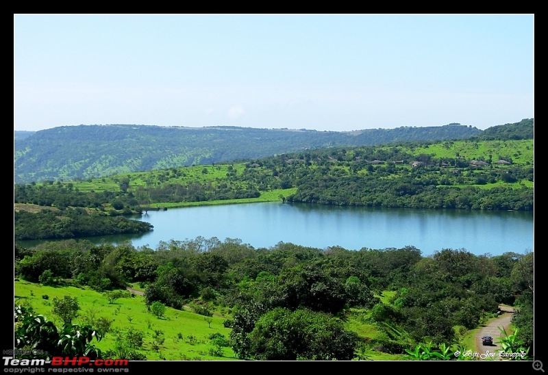 2011 Post Monsoon Trips : Kaas and Bamnoli, a photographer's paradise.-p1050175.jpg