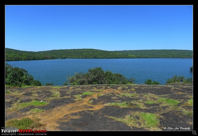 2011 Post Monsoon Trips : Kaas and Bamnoli, a photographer's paradise.-p1050207.jpg