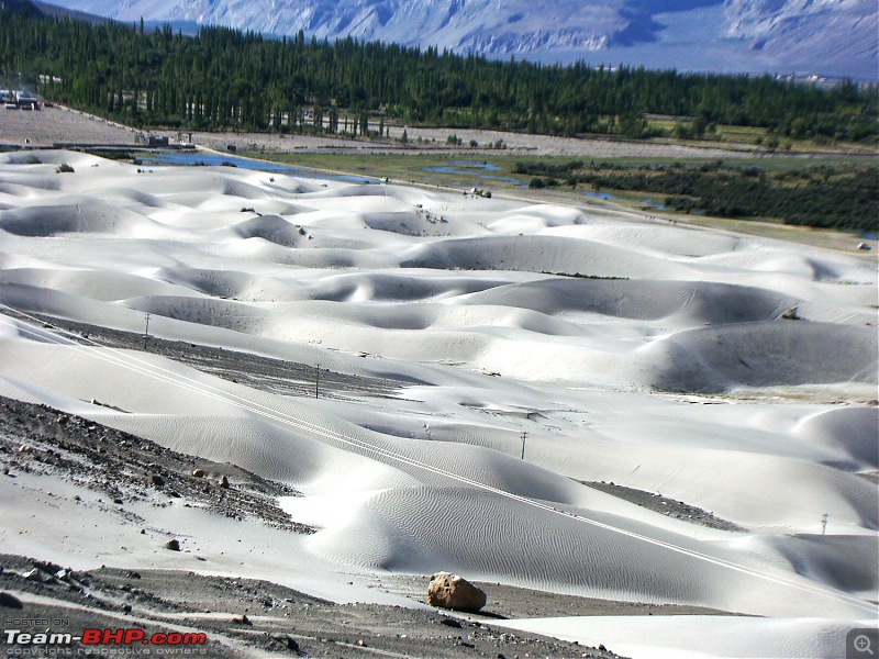 Ladakh: A sojourn to the roof of the worldover 21 days and 6500kms!!-d11-18-hunder-sand-dunes.jpg