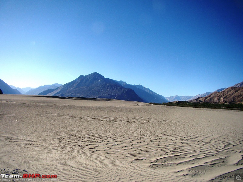 Ladakh: A sojourn to the roof of the worldover 21 days and 6500kms!!-d11-24-desert-landscape-near-diskit.jpg