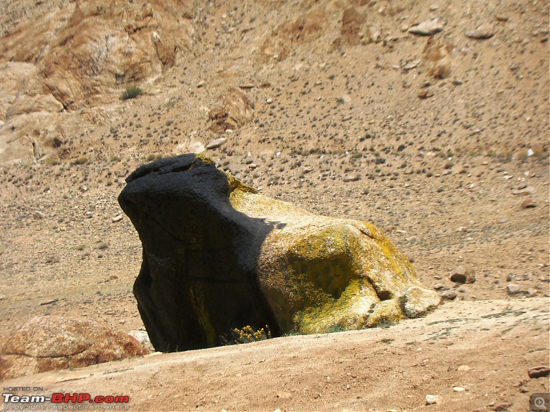 Ladakh: A sojourn to the roof of the worldover 21 days and 6500kms!!-d12-13-bro-toad-near-leh.jpg