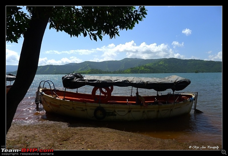 2011 Post Monsoon Trips : Kaas and Bamnoli, a photographer's paradise.-p1050347.jpg