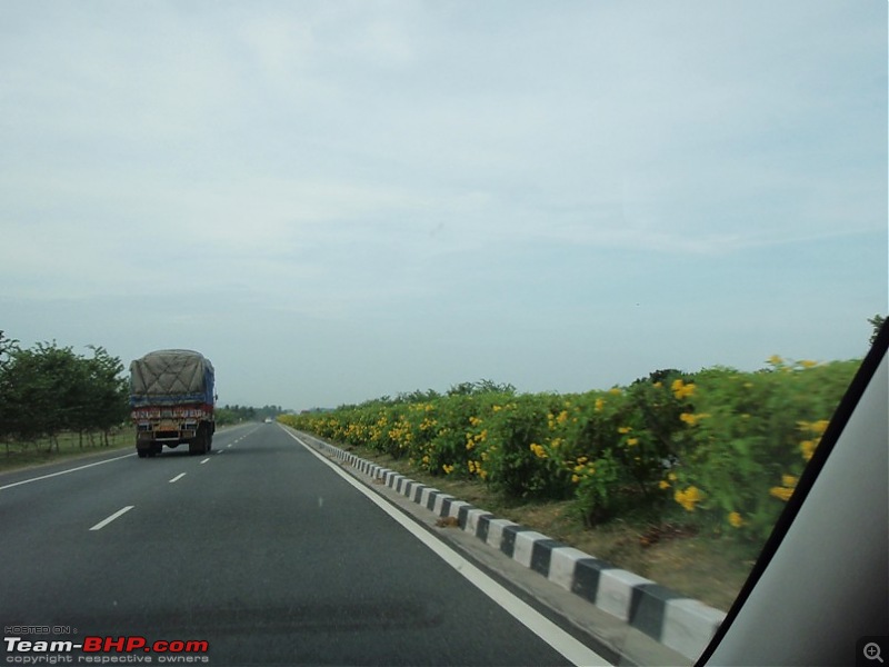 Trip to Kodai, Thekkady, Munnar and Alleppy-p9170004.jpg