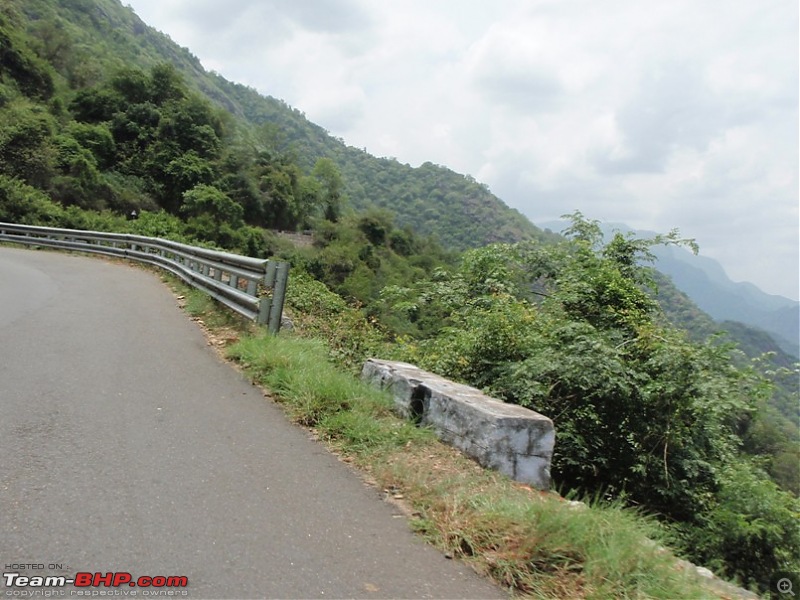 Trip to Kodai, Thekkady, Munnar and Alleppy-p9170013.jpg