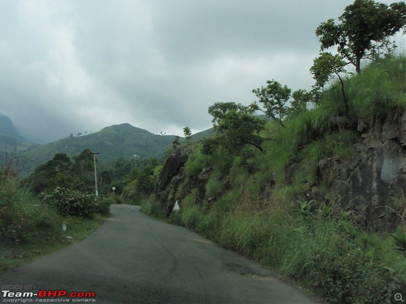 Trip to Kodai, Thekkady, Munnar and Alleppy-p9170015.jpg