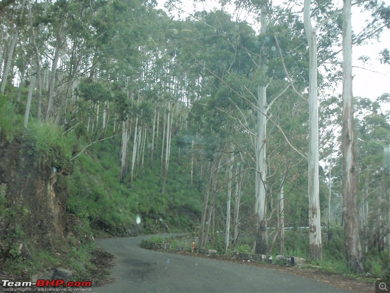 Trip to Kodai, Thekkady, Munnar and Alleppy-p9170016.jpg