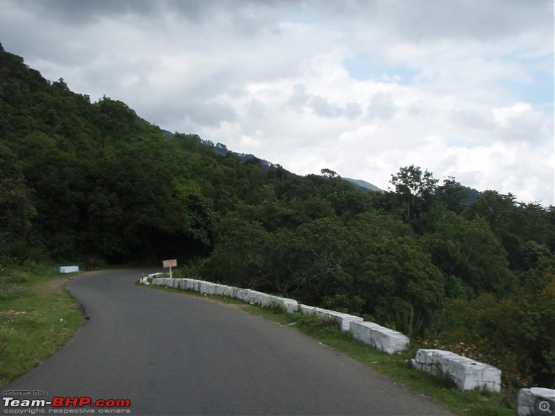 Trip to Kodai, Thekkady, Munnar and Alleppy-p9190088.jpg