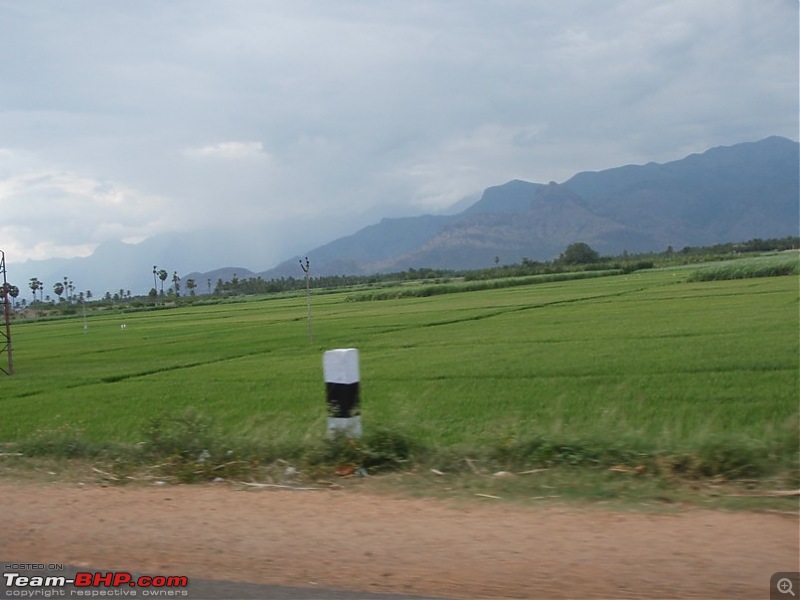 Trip to Kodai, Thekkady, Munnar and Alleppy-p9190089.jpg