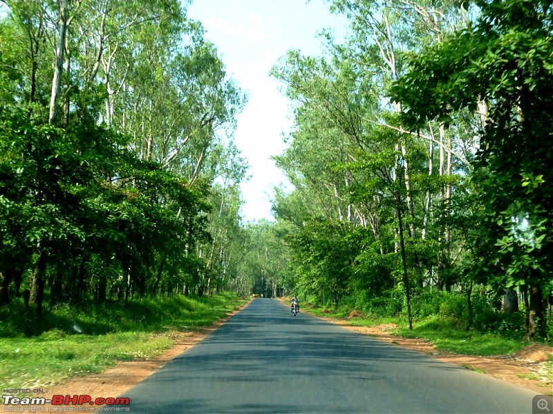 The Road To the Sea. Bangalore - Goa - Bangalore. Again!-p1000316.jpg