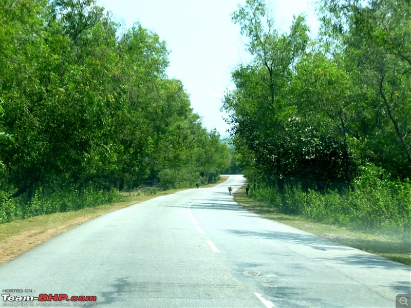 The Road To the Sea. Bangalore - Goa - Bangalore. Again!-p1000375.jpg