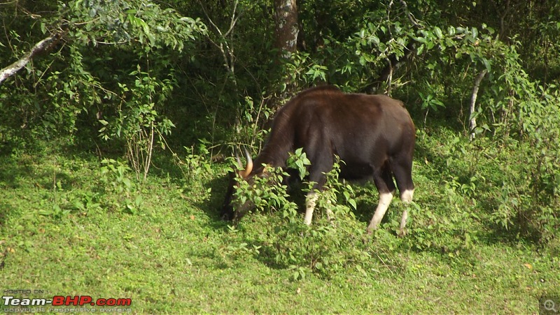 Trip to Kodai, Thekkady, Munnar and Alleppy-dscf0684.jpg