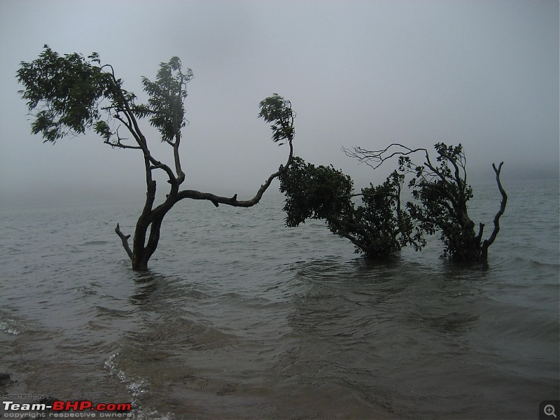 2011 Post Monsoon Trips : Kaas and Bamnoli, a photographer's paradise.-misty_kaas_lake.jpg