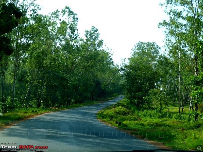 The Road To the Sea. Bangalore - Goa - Bangalore. Again!-p1000318.jpg