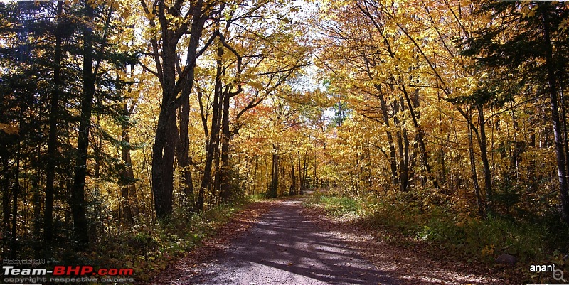 North Shore Scenic Drive - Fall 2011-fall-colors-forest-rd-166.jpg