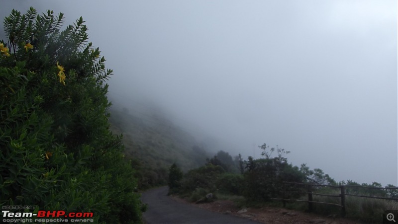 Trip to Kodai, Thekkady, Munnar and Alleppy-dscf0921.jpg