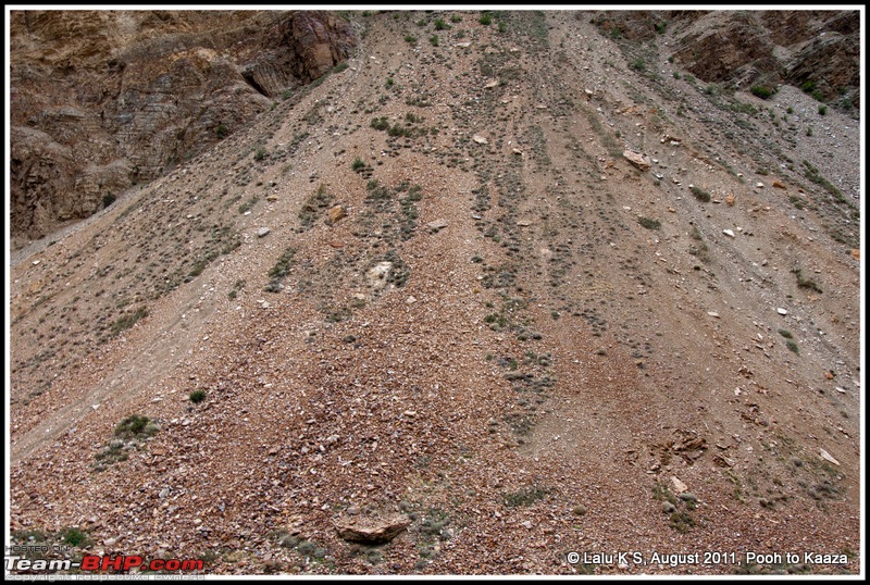 HumbLeh'd II (Indo Polish Himalayan Expedition to Ladakh & Himachal Pradesh)-dsc_1526.jpg