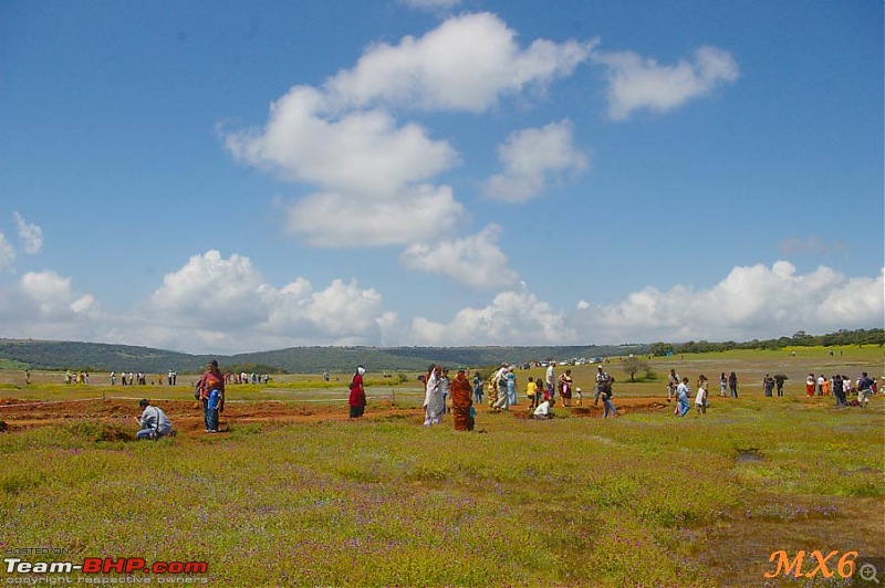 2011 Post Monsoon Trips : Kaas and Bamnoli, a photographer's paradise.-15.jpg