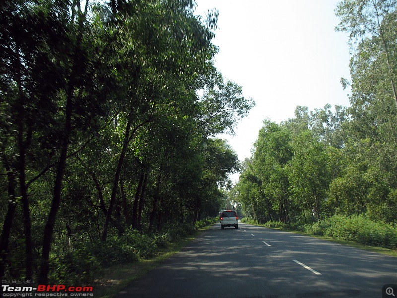 Short trip from Calcutta to Rajgir-034.jpg