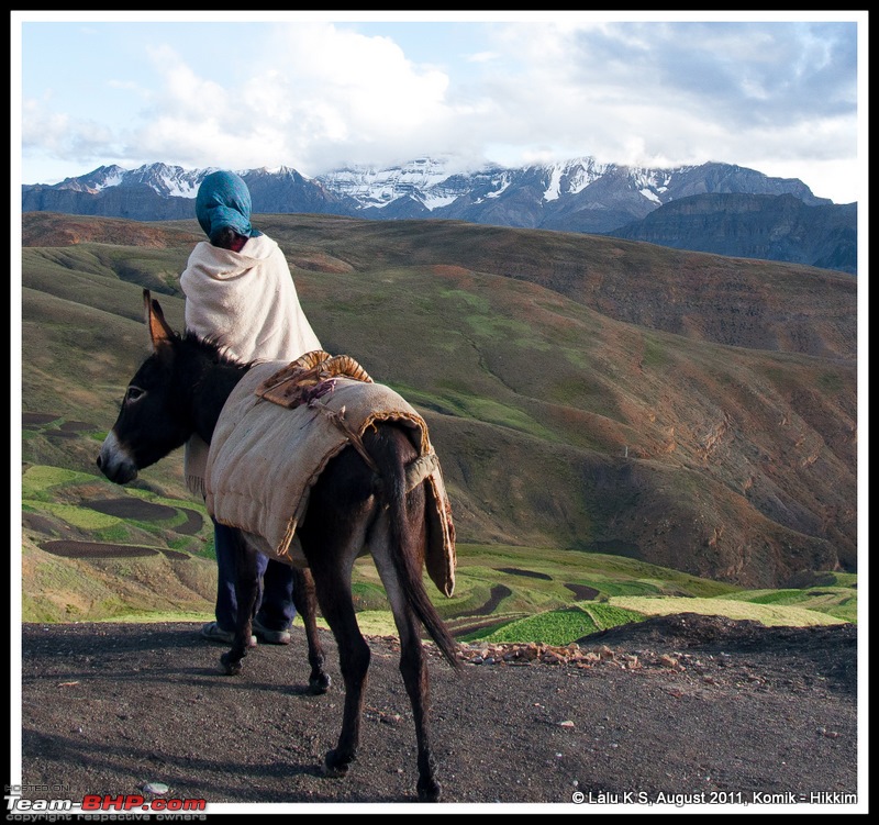 HumbLeh'd II (Indo Polish Himalayan Expedition to Ladakh & Himachal Pradesh)-dsc_3740.jpg