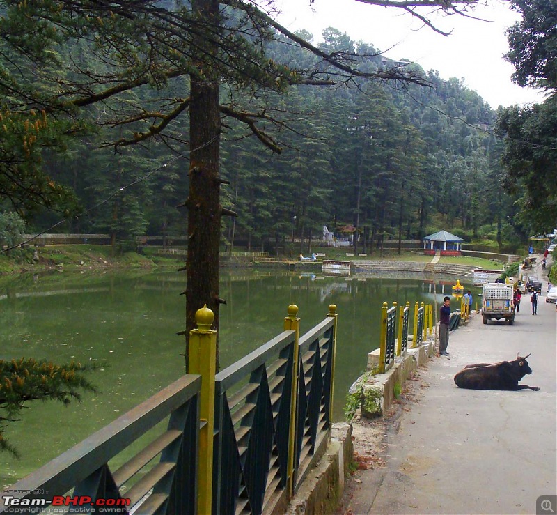 Hawk-On-Fours (H-4) Roadtrip: McLEODGANJ-dallake-4.jpg