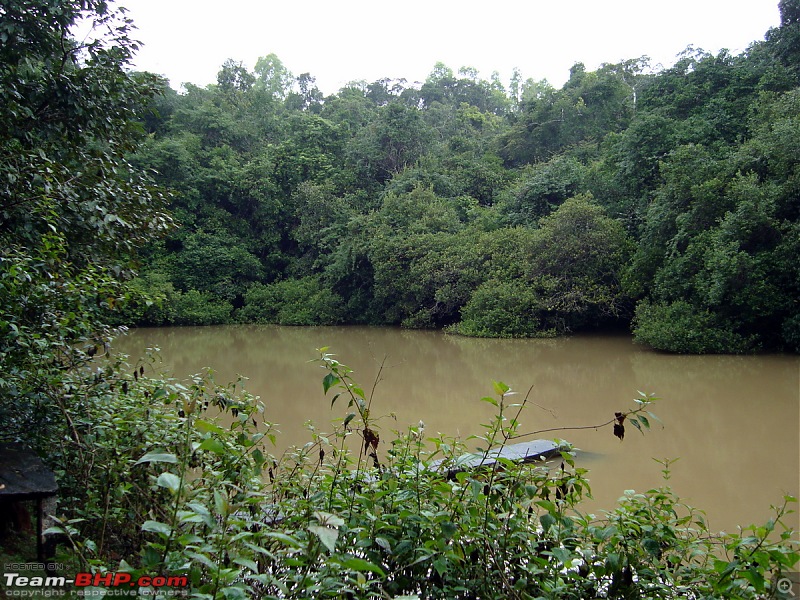 Malnad In Monsoons-dsc02848.jpg