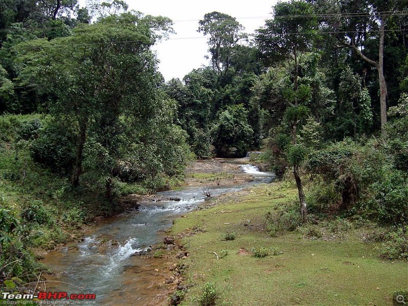 Malnad In Monsoons-dsc02858.jpg