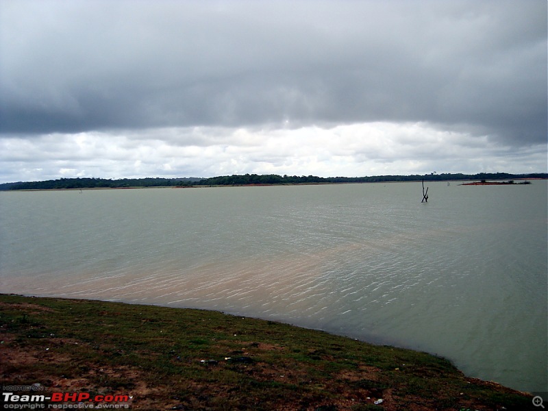 Malnad In Monsoons-dsc02861.jpg