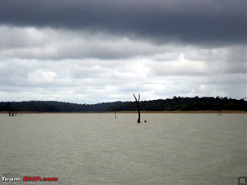 Malnad In Monsoons-dsc02868.jpg