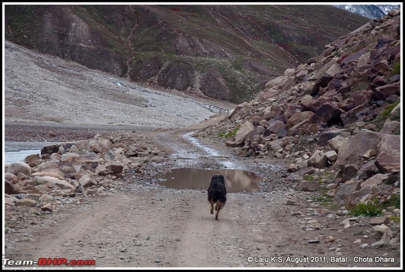 HumbLeh'd II (Indo Polish Himalayan Expedition to Ladakh & Himachal Pradesh)-dsc_4417.jpg