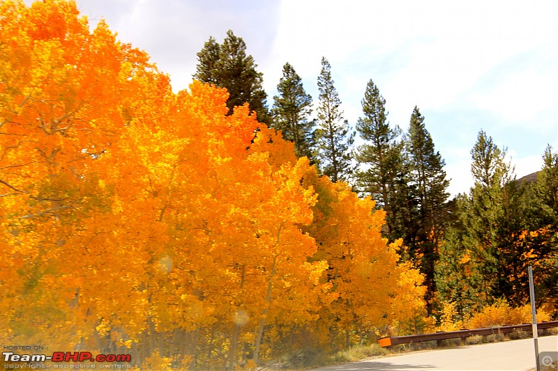 No Heaven Without Hell - Sierra Mountains, CA-img_0659.jpg