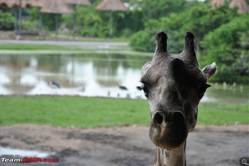 Amazing Thailand...True in every sense.-dsc_1884.jpg