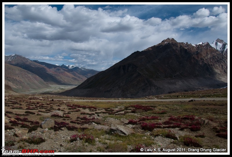 HumbLeh'd II (Indo Polish Himalayan Expedition to Ladakh & Himachal Pradesh)-dsc_7444.jpg
