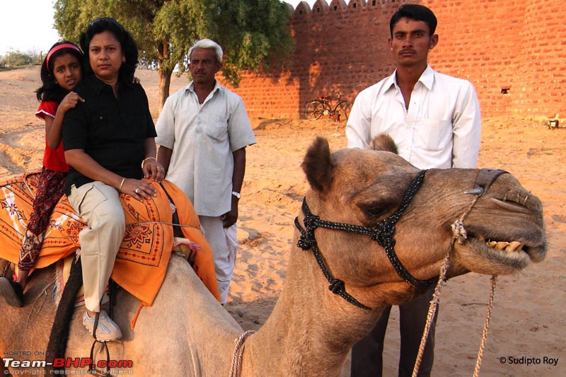 Rajasthan on self drive from Calcutta-camel_2135.jpg