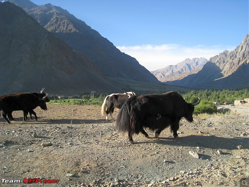 HumbLeh'd II (Indo Polish Himalayan Expedition to Ladakh & Himachal Pradesh)-kargil-padum004.jpg