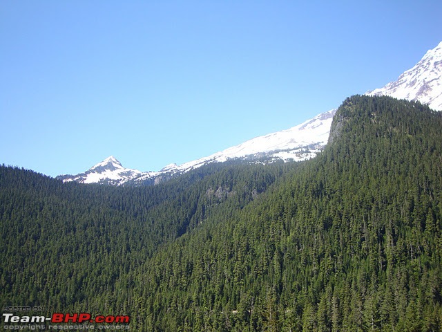 Mount Rainier - Washington-dsc05113.jpg