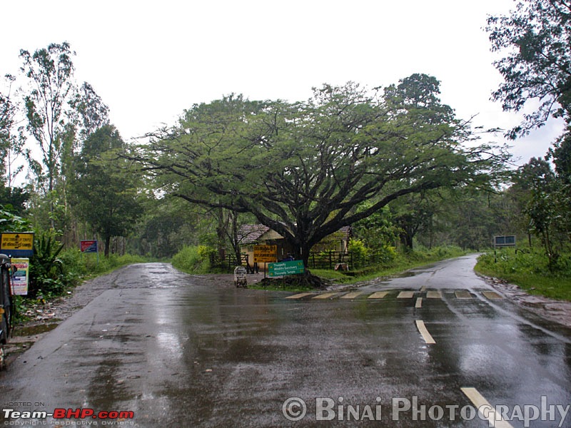 Wayanad and Coorg in Three days-img_8652.jpg