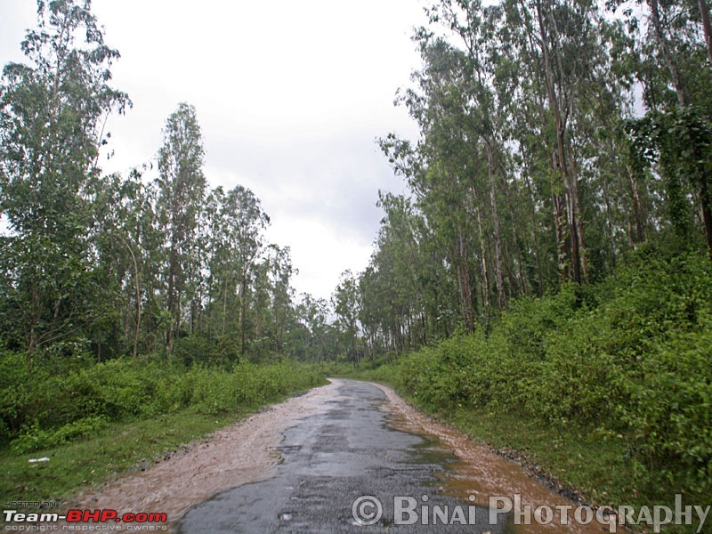 Wayanad and Coorg in Three days-img_8668.jpg