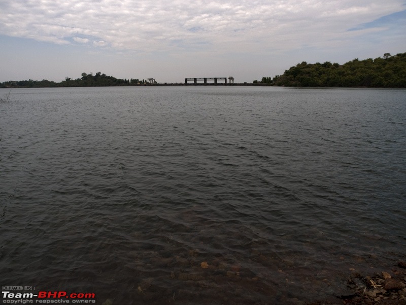 River Tern Jungle Lodge, Kemmanugundi and then some-pc182244.jpg