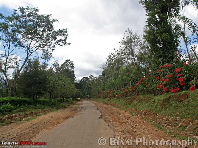 Wayanad and Coorg in Three days-img_8811.jpg