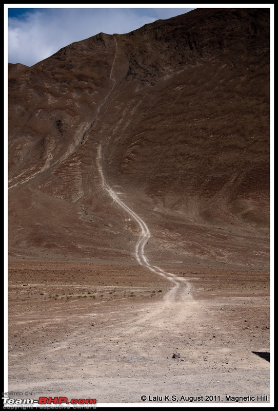 HumbLeh'd II (Indo Polish Himalayan Expedition to Ladakh & Himachal Pradesh)-dsc_8911.jpg