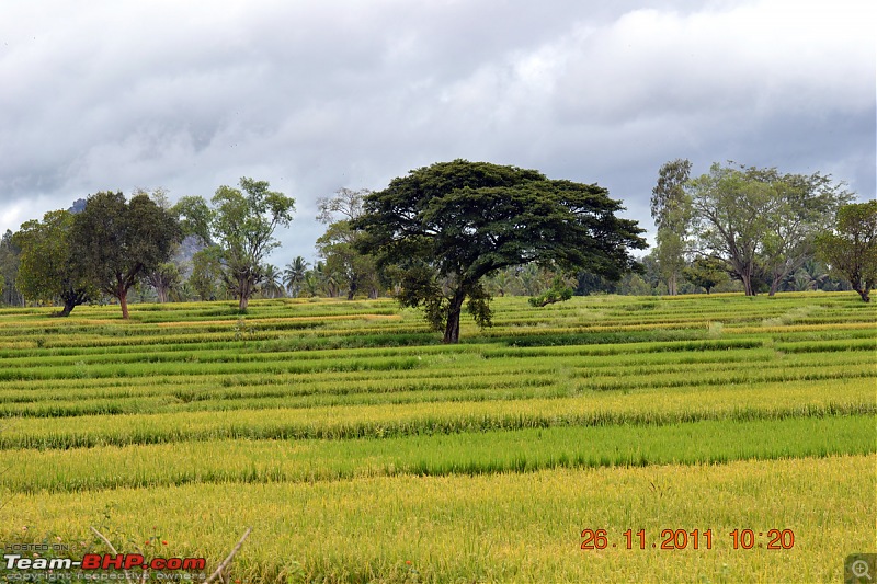 Fauji's Drivologues - Unwinding in wonderful Wayanad over the weekend!-dsc_0281.jpg