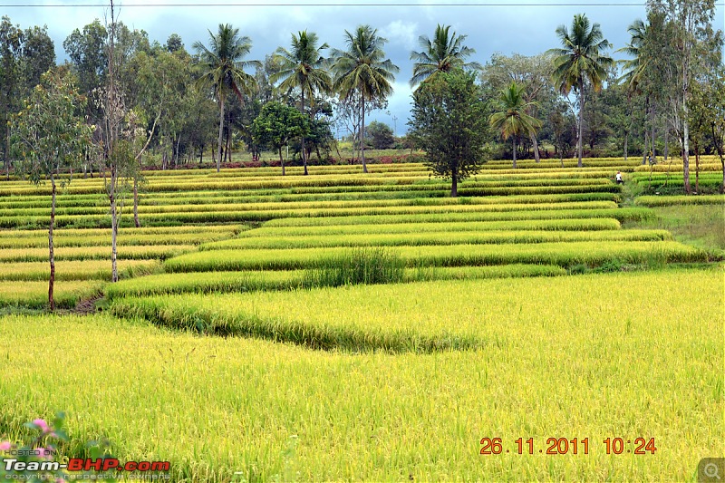 Fauji's Drivologues - Unwinding in wonderful Wayanad over the weekend!-dsc_0288.jpg