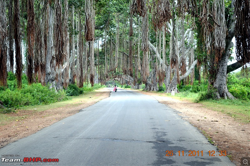 Fauji's Drivologues - Unwinding in wonderful Wayanad over the weekend!-dsc_0326.jpg