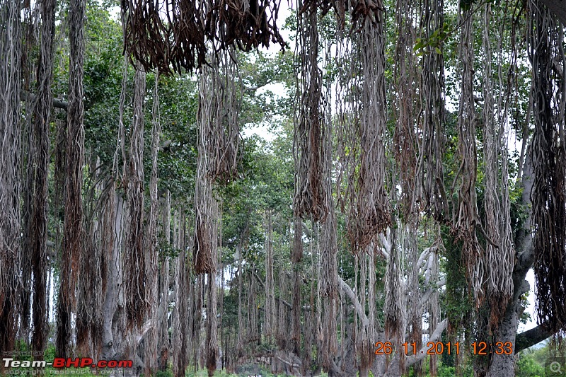 Fauji's Drivologues - Unwinding in wonderful Wayanad over the weekend!-dsc_0327.jpg