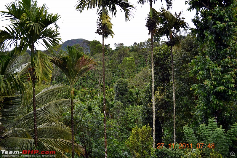 Fauji's Drivologues - Unwinding in wonderful Wayanad over the weekend!-dsc_0336.jpg