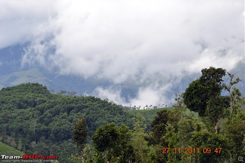 Fauji's Drivologues - Unwinding in wonderful Wayanad over the weekend!-dsc_0354.jpg