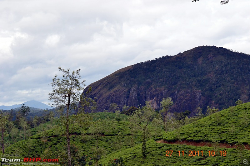 Fauji's Drivologues - Unwinding in wonderful Wayanad over the weekend!-dsc_0357.jpg