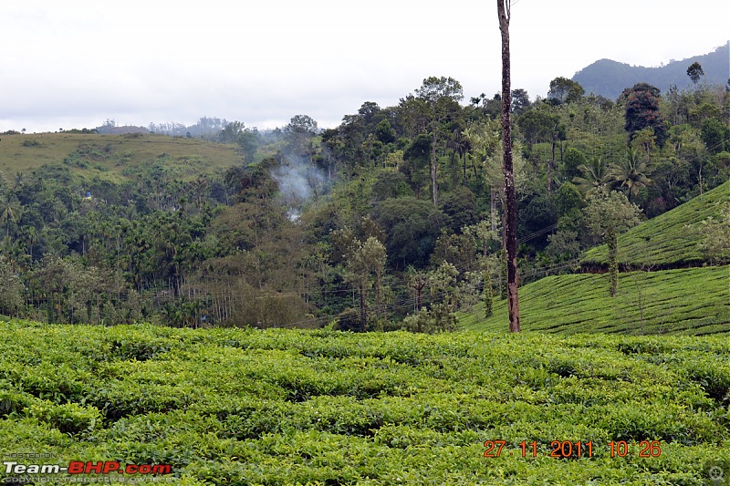 Fauji's Drivologues - Unwinding in wonderful Wayanad over the weekend!-dsc_0360.jpg