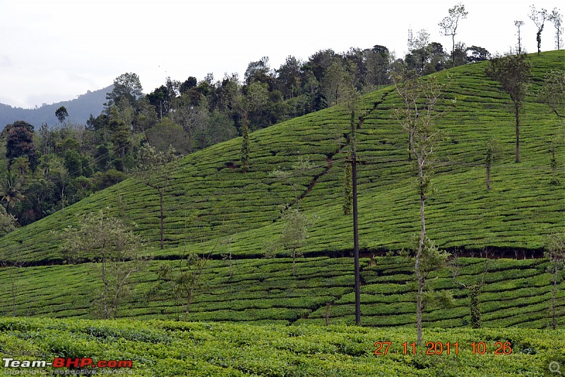 Fauji's Drivologues - Unwinding in wonderful Wayanad over the weekend!-dsc_0361.jpg