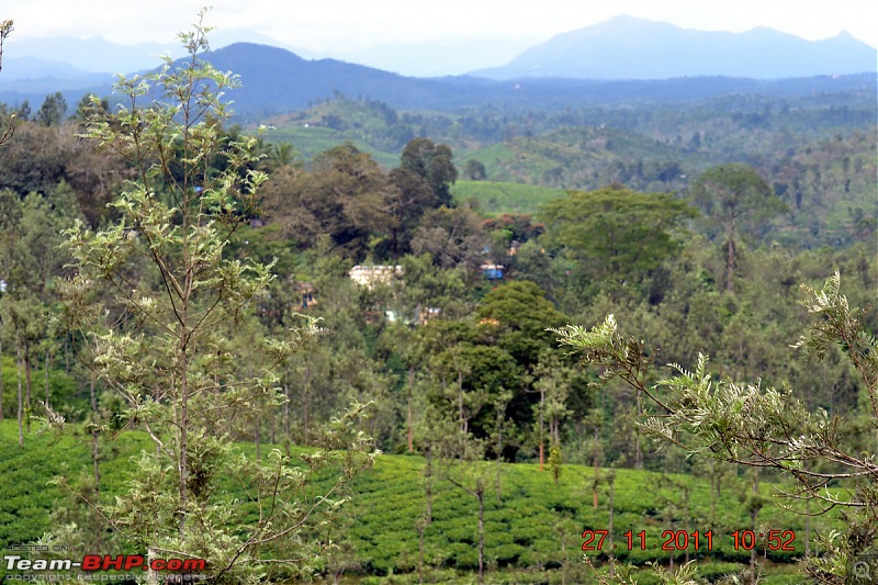 Fauji's Drivologues - Unwinding in wonderful Wayanad over the weekend!-dsc_0368.jpg